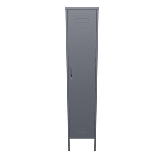 The Bexley Tall single door storage locker in sage green, against a white background.